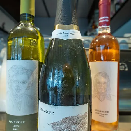 酒店 伊萨酒店 2*