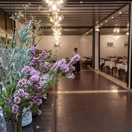 Hotel Issa